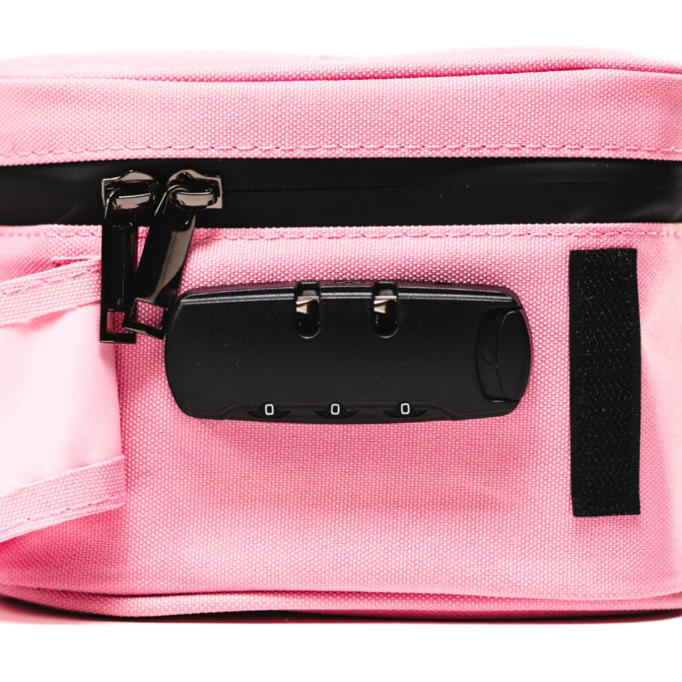 BLAZY SUSAN TRAVEL STASH BAG