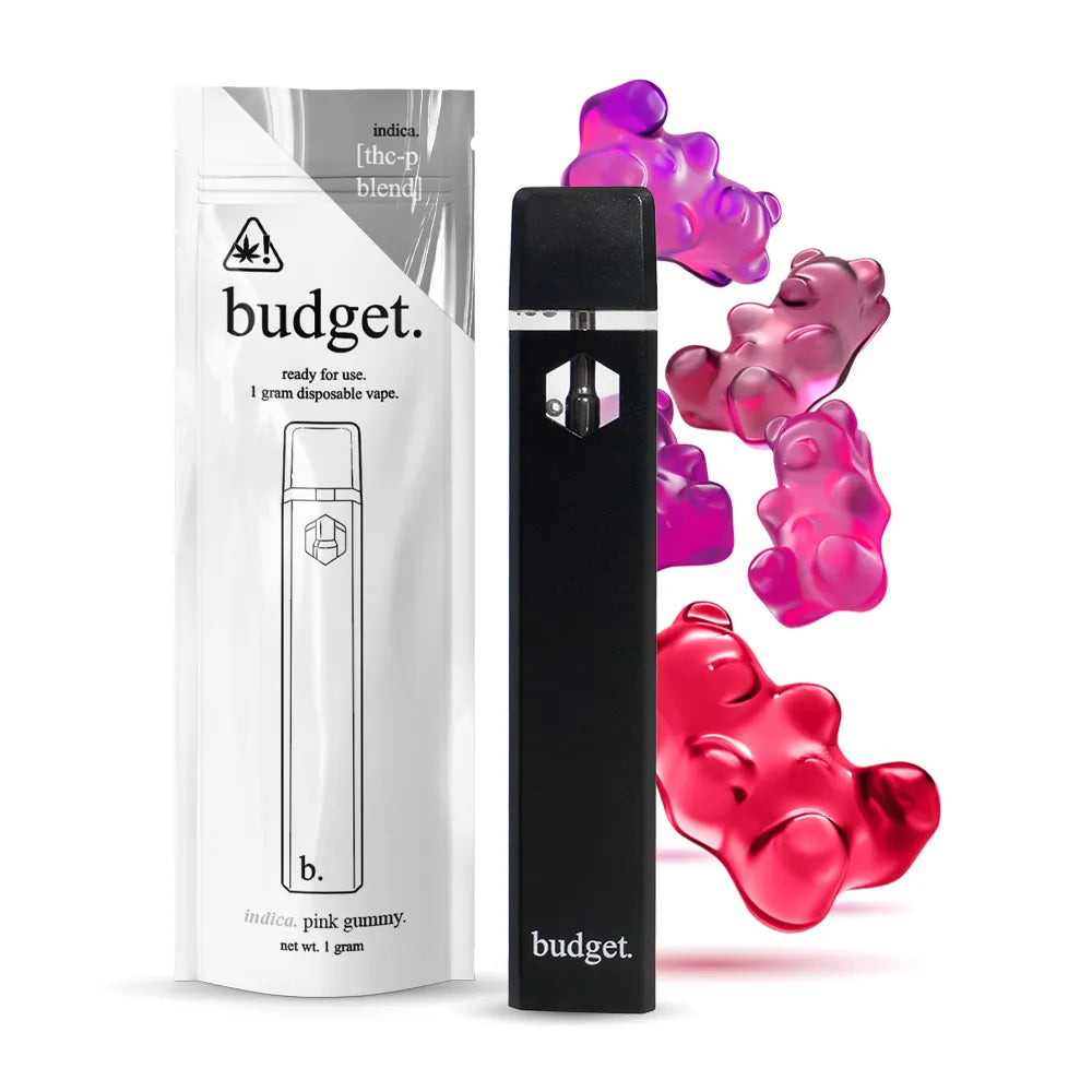 BUDGET 1G THC-P DISPOSABLE