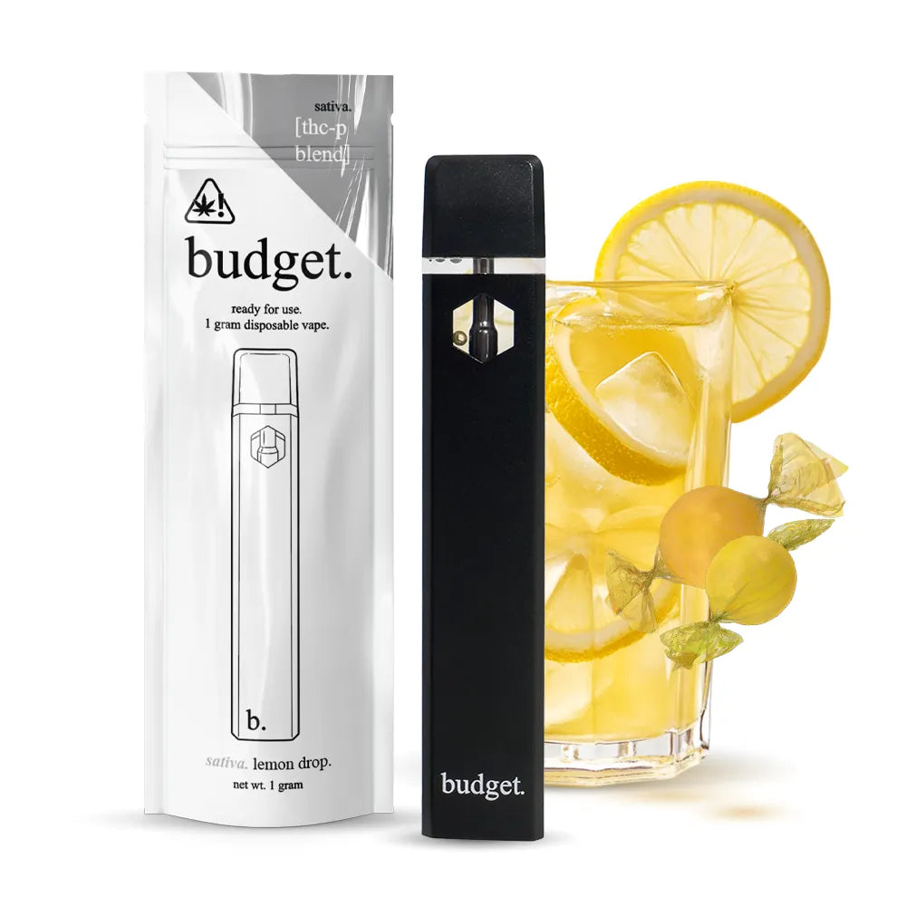 BUDGET 1G THC-P DISPOSABLE
