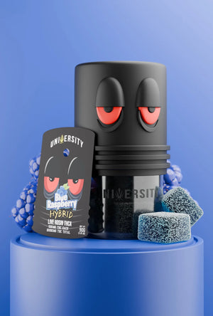 UNIVERISTY LIVE ROSIN THCA 10,000MG GUMMY JAR (500MG/PC)