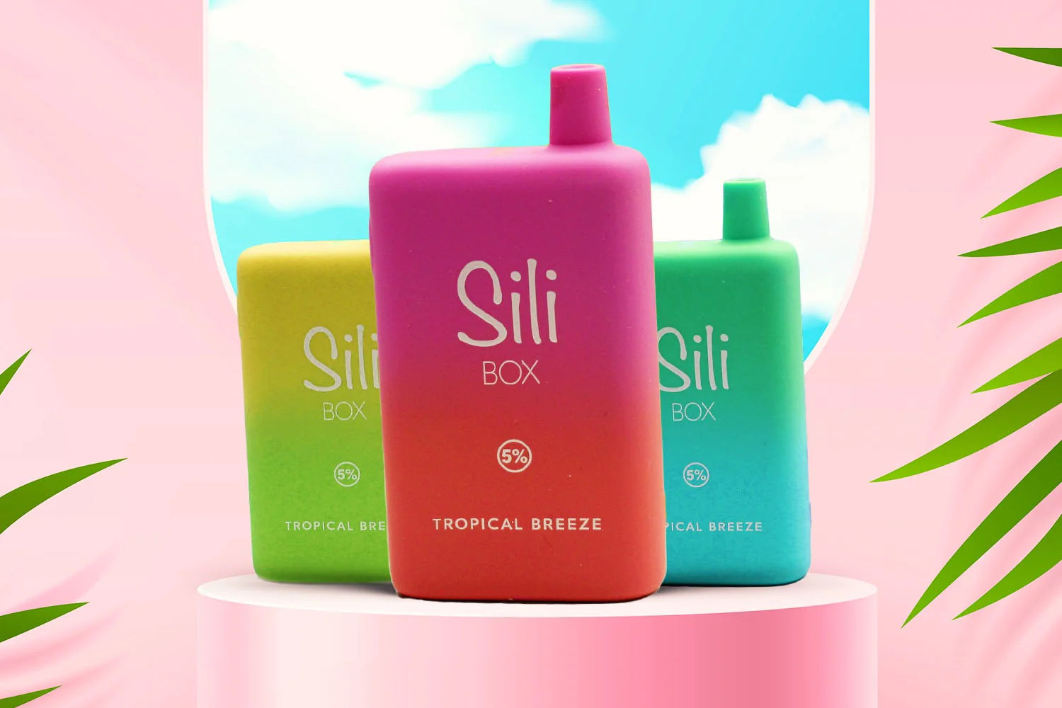 SILI BOX 6000 TURBO HIT